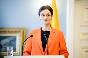 V. Čmilytė-Nielsen – apie griežtesnį parlamentinių lėšų reglamentavimą: būtina sugriežtinti tvarką