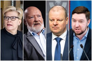 I. Šimonytei dėl pareiškimų apie Lenkiją kritikos negaili nei valdantieji, nei opozicija: nepataikė į natą