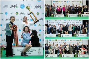 Tarptautinėje šunų parodoje aukščiausias titulas – Magijai iš Lietuvos