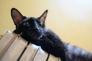 Už centralizuotą būstų šildymą kauniečiai mokės pigiau: štai kokių sąskaitų tikėtis