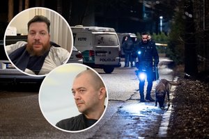 Įvertino versijas dėl L. Volkovo sumušimo: jų – ne viena, užpuolikai galėjo atvykti ir iš kitų valstybių