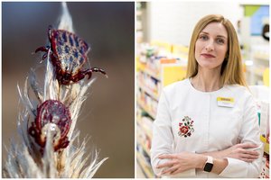 Vaistininkė atsako į dažniausius klausimus apie erkinį encefalitą: galime užsikrėsti ir namų kieme