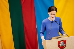 V. Čmilytė-Nielsen apie išpuolį prieš L. Volkovą: opozicijos lyderiams teks būti dar apdairesniems