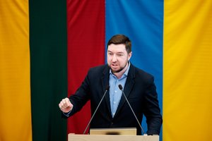 Seimas linkęs pritarti siūlymui steigti gynybos finansavimo fondą