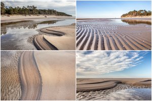 Pajūryje – retas ir itin laikinas reiškinys: jį pamatyti dabar gali ne tik latviai, bet ir lietuviai