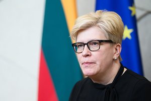 I. Šimonytė apie KT išvadą dėl Stambulo konvencijos: nebėra pagrindo spekuliacijoms dėl prieštaravimo Konstitucijai