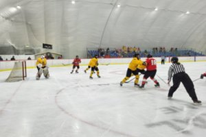 Atsitiesusi Lietuvos moterų ledo ritulio rinktinė nugalėjo Bulgariją