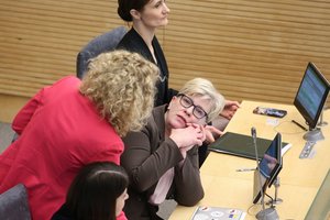 A. Armonaitė: vidinės TS-LKD partijos įtampos neturėtų destabilizuoti valstybės reikalų