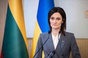 V. Čmilytė-Nielsen nepalaikytų A. Anušausko kandidatūros į NSGK pirmininkus: užmetė nereikalingų įtarimų šešėlį