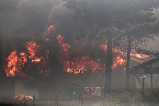 Miškų gaisrai Čilėje. 
