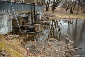 Panevėžiečiams akis bado parkuose besimėtančios šiukšlės: upėse atsikrato net pačiais netikėčiausiais daiktais