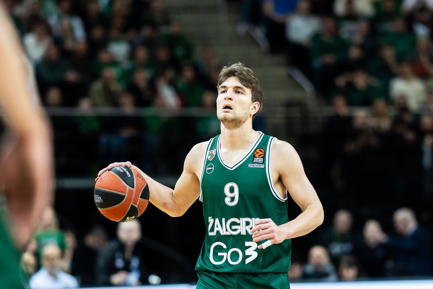 Dovydas Giedraitis<br>G.Bitvinsko nuotr.