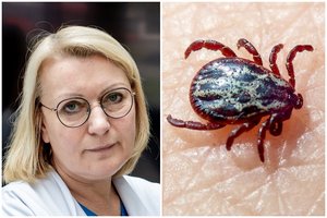 Įsisiurbė erkė? Profesorė L. Jančorienė paaiškino, kas padės išvengti Laimo ligos
