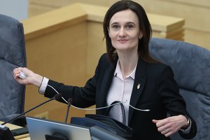 V. Čmilytė-Nielsen: L. Kasčiūnui kaip komiteto pirmininkui priekaištų neturime