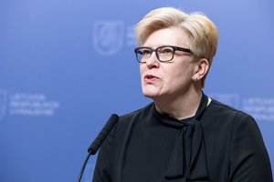 I. Šimonytė abejoja, ar litvinizmo sąvoka turėtų būti įrašyta į Baudžiamąjį kodeksą