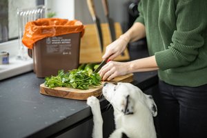 Pirmieji maisto atliekų rūšiavimo mėnesiai: apžvelgė, kaip tai daryti pavyksta vilniečiams