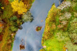 Nematoma tarša didėja: 6 būdai, kaip nekeldami kojos iš namų galite išsaugoti upių ir jūrų švarą