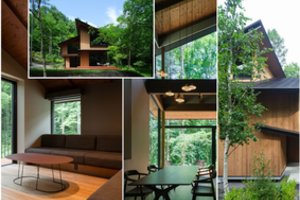 Vyras slaptai miške pasistatė namą: dabar čia gyvena taip, kaip kiekvienas tik pasvajoja