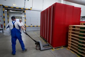 Šiaulių regione įmonių veiklas jau trikdo kvalifikuotų darbuotojų stygius – štai ko labiausiai trūksta