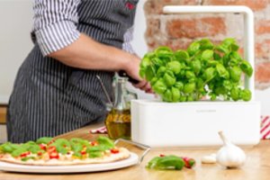 Nemėgstantiems kišti rankų į žemę: šviežios daržovės gali pačios savimi pasirūpinti