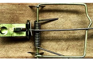 Buvo manančių, jog Narcizą galima laikyti tapybos išradėju