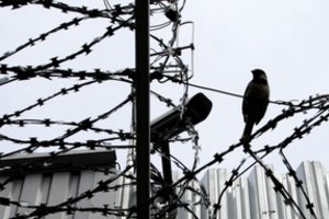 Teismas dar trims mėnesiams pratęsė suėmimą kaltinamajam mergaitės sužalojimu Raseiniuose