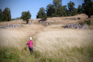 Atrastas dar vienas teigiamas buvimo gamtoje efektas