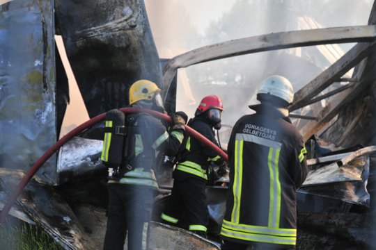 Greta Vilniaus ugniagesiai gesino autoservisą