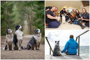 Šuns diena: ačiū, Kuba, už pokyčius