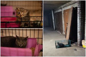 Pagalbos šauksmas iš tamsių Vilniaus požemių ir ypatinga gelbėjimo operacija: šeimynėlė jau pradėjusi sirgti