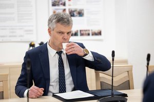 D. Jauniškis apie parlamentinio tyrimo išvadas: jos šokiruoja