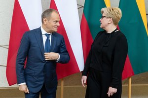 I. Šimonytė apie ambasadoriaus Lenkijoje paieškas: tai vis dar procese