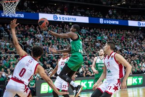 Įkrintamųjų svajonė išlieka gyva: E. Sumnerio karjeros rungtynės pažymėtos pergale Kaune