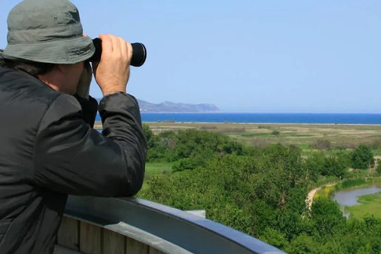 Paukščių stebėjimo pramoga pastaraisiais metais vis populiarėja – ji apjungia buvimą gamtoje, keliavimą ir pažinimo džiaugsmą.