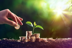 Indėlių palūkanos mažėja, o tarp didžiųjų Lietuvos bankų aukščiausias palūkanas išlaiko Šiaulių bankas