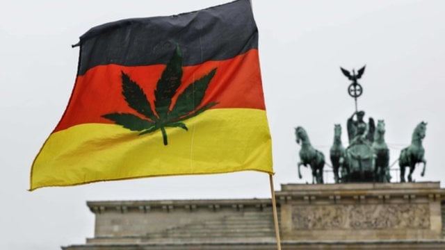 Vokietijoje įsigaliojo kanapių legalizavimas – pilnamečiai galės auginti marihuanos augalus namuose