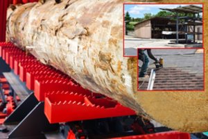 Nutarė lentpjūvę pasiremontuoti – prisidarė rimtų bėdų