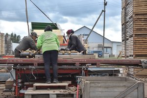 Įspėja dėl laukiančio kainų augimo šuolio: šįkart pirštu bedė į vieną prekę