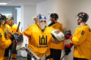 M. Armalio karjeros vingiai – ne iki galo pravertos NHL durys, pagarba Švedijoje ir nepakeičiamas rinktinėje