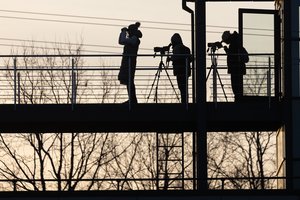 Paukščių stebėtojų rojuje jau skamba patys įvairiausi čiulbesiai: papasakojo, kokius sparnuočius galima pamatyti dabar
