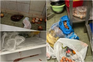 Kraupu, kokiomis sąlygomis šiame darželyje ruošė maistą: jį laikė ant grindų, gamino sulūžusiu ir surūdijusiu inventoriumi