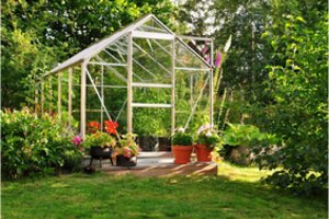 Užsimoję kieme pasistatyti šiltnamį, galite prisidaryti bėdų: įsivertinkite vieną aplinkybę