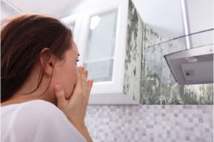 Kartu su nauju namu galite įsigyti ir amžiną bėdą – pelėsį: Aidas pasakė, kuriais atvejais jo net neišnaikinsite