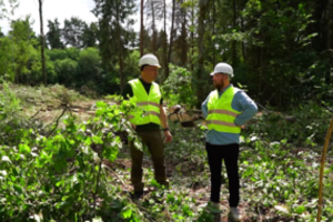 Komikas M. Bartuševičius domėjosi, kaip miškuose vyksta ūkininkavimas: medžiai nekertami be svarių priežasčių