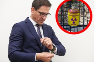 D. Kreivys: valstybė nesiims branduolinių reaktorių statybos