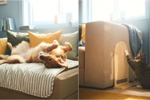 IKEA pristato augintiniams skirtą prekių namams asortimentą