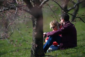 Po nelabai malonaus šeštadienio – šilumos pliūpsnis: jau tuoj sulauksime net 25 laipsnių