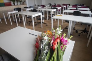 ŠMSM primena: mokyklos turi kompensuoti dėl tarpinio patikrinimo prarastą atostogų dieną