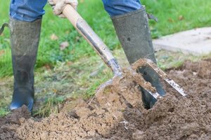 Be šio svarbaus darbo derliaus nesulauksite jokio – skirkite tam tik vieną dieną, o rezultatas pranoks lūkesčius