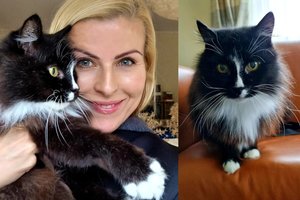 Rūta Mikelkevičiūtė neteko įspūdingo amžiaus sulaukusio katino: pasidalijo pamokančia istorija